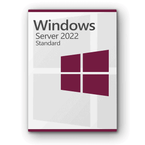 Microsoft Windows Server 2022 Standard Licence pour 3 PC
